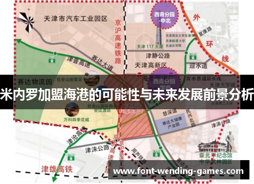 米内罗加盟海港的可能性与未来发展前景分析