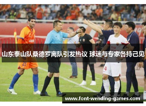 山东泰山队桑德罗离队引发热议 球迷与专家各持己见