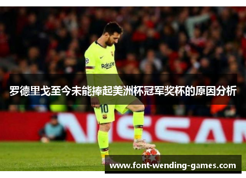 罗德里戈至今未能捧起美洲杯冠军奖杯的原因分析