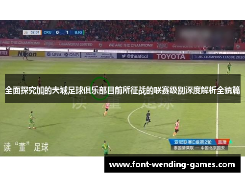 全面探究加的夫城足球俱乐部目前所征战的联赛级别深度解析全貌篇