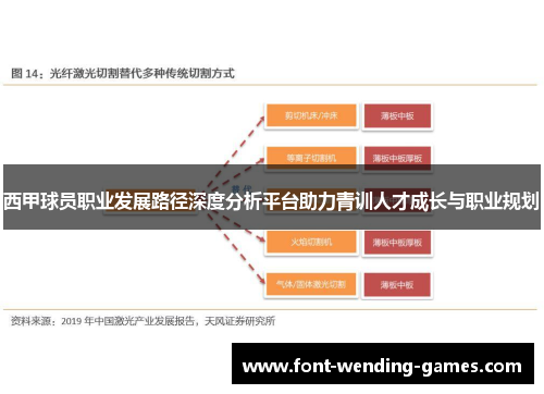 西甲球员职业发展路径深度分析平台助力青训人才成长与职业规划